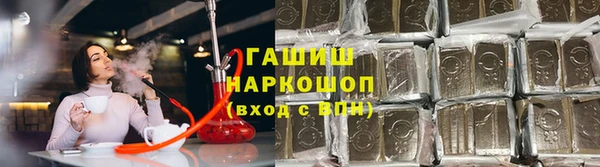 индика Богородицк